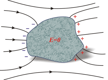 Распределение зарядов на проводнике в электрическом поле: линии поля перпендикулярны поверхности, заряды сосредоточены на поверхности