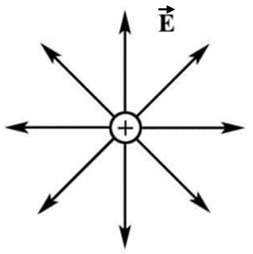 Линии напряженности электрического поля около положительно заряженной частицы