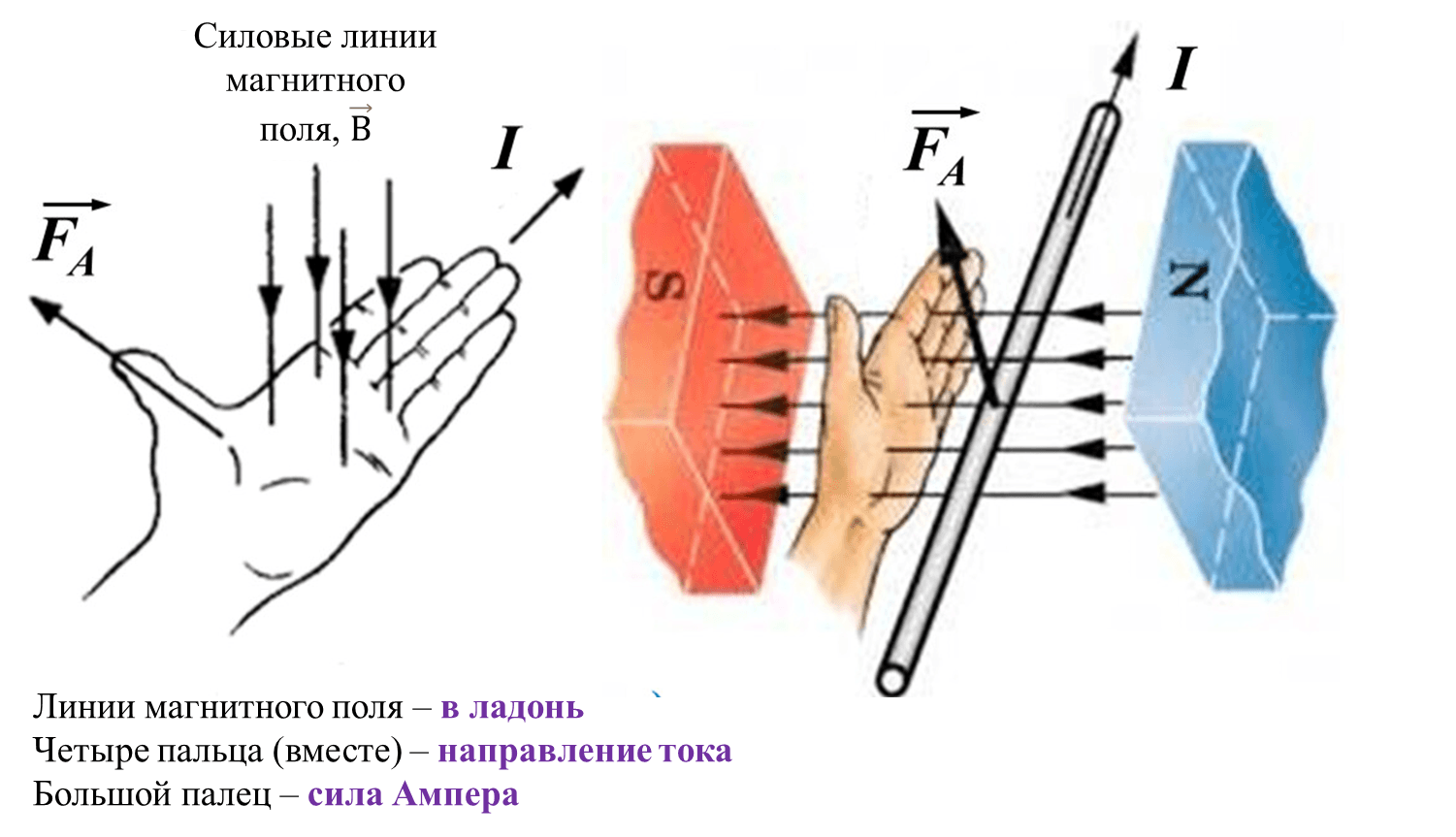Сила ампера и правило левой руки