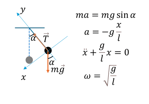 Схема математического маятника с обозначением основных параметров: длина нити, угол отклонения, силы