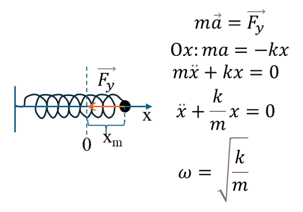 Схема пружинного маятника с обозначением параметров: масса m, жесткость k, амплитуда x_m