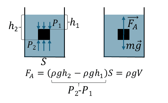Действие выталкивающей силы Архимеда на тело, погруженное в жидкость: направление и величина силы